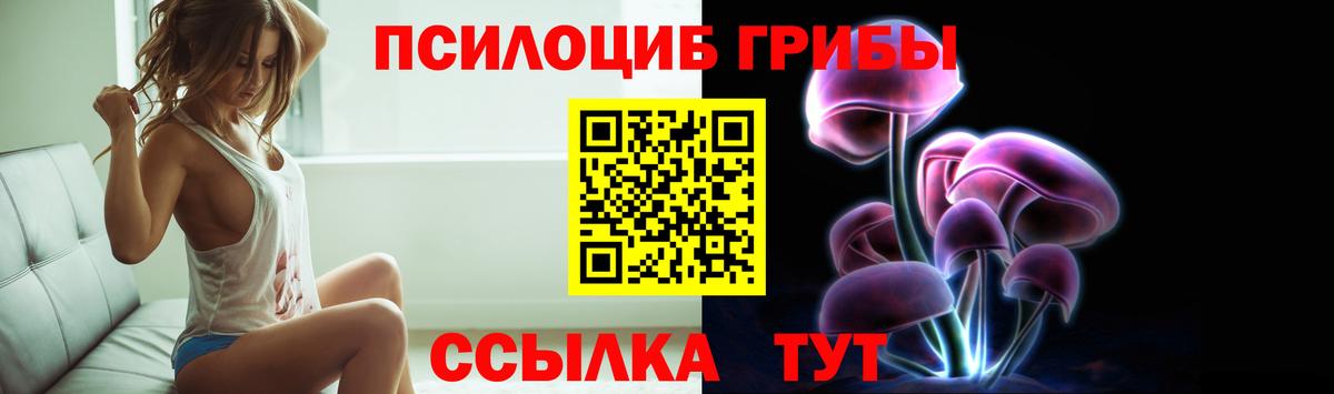 Звенигород  Псилоцибиновые грибы прущие грибы  продажа наркотиков  Вход с VPN 